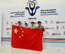 我国选手在比赛中取得了史无前例的成就层次分析法 我国选手在比赛中取得了史无前例的成就层次分析法